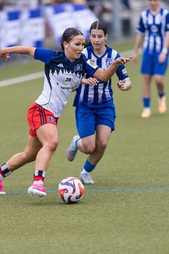 Bild 363 - wBJ Hamburger SV - FC Suederelbe : Ergebnis: 9:0